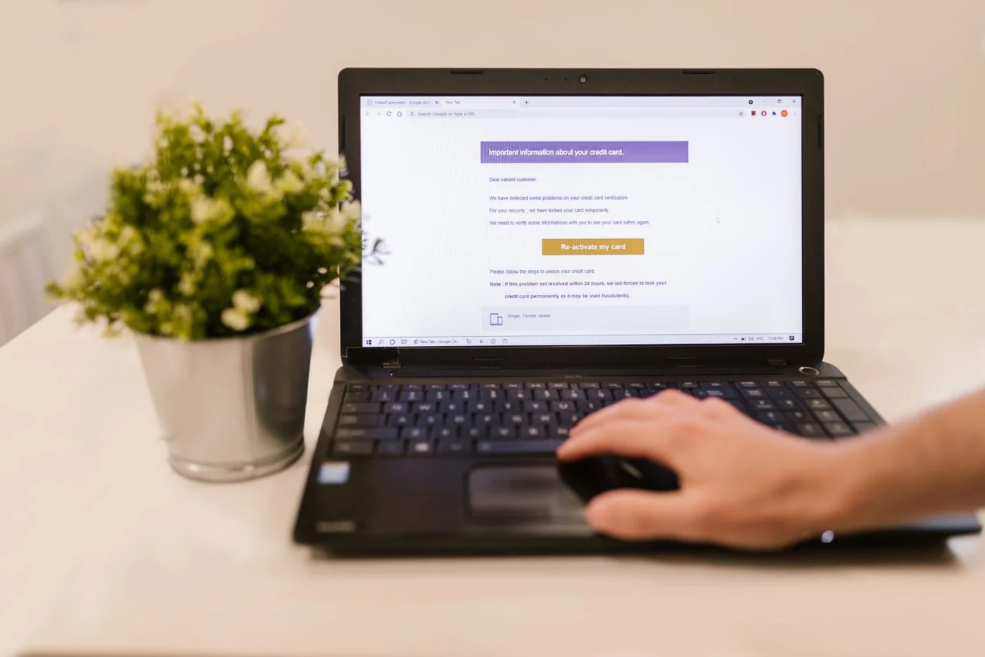 An email message open on a laptop beside a plant